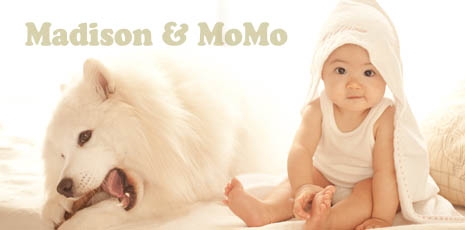 Madison & MoMo