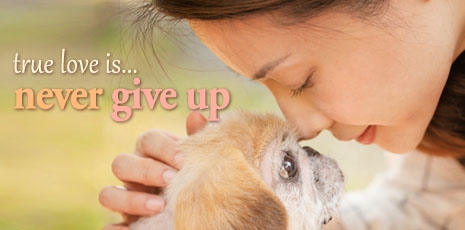 True love is… never give up