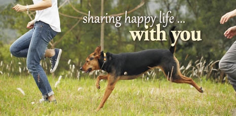 Sharing happy life with you…