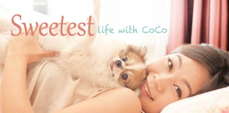 Sweetest Life with CoCo